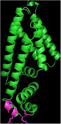 FepR as a Central Genetic Target in the Adaptation to Quaternary Ammonium Compounds and Cross-Resistance to Ciprofloxacin in Listeria monocytogenes